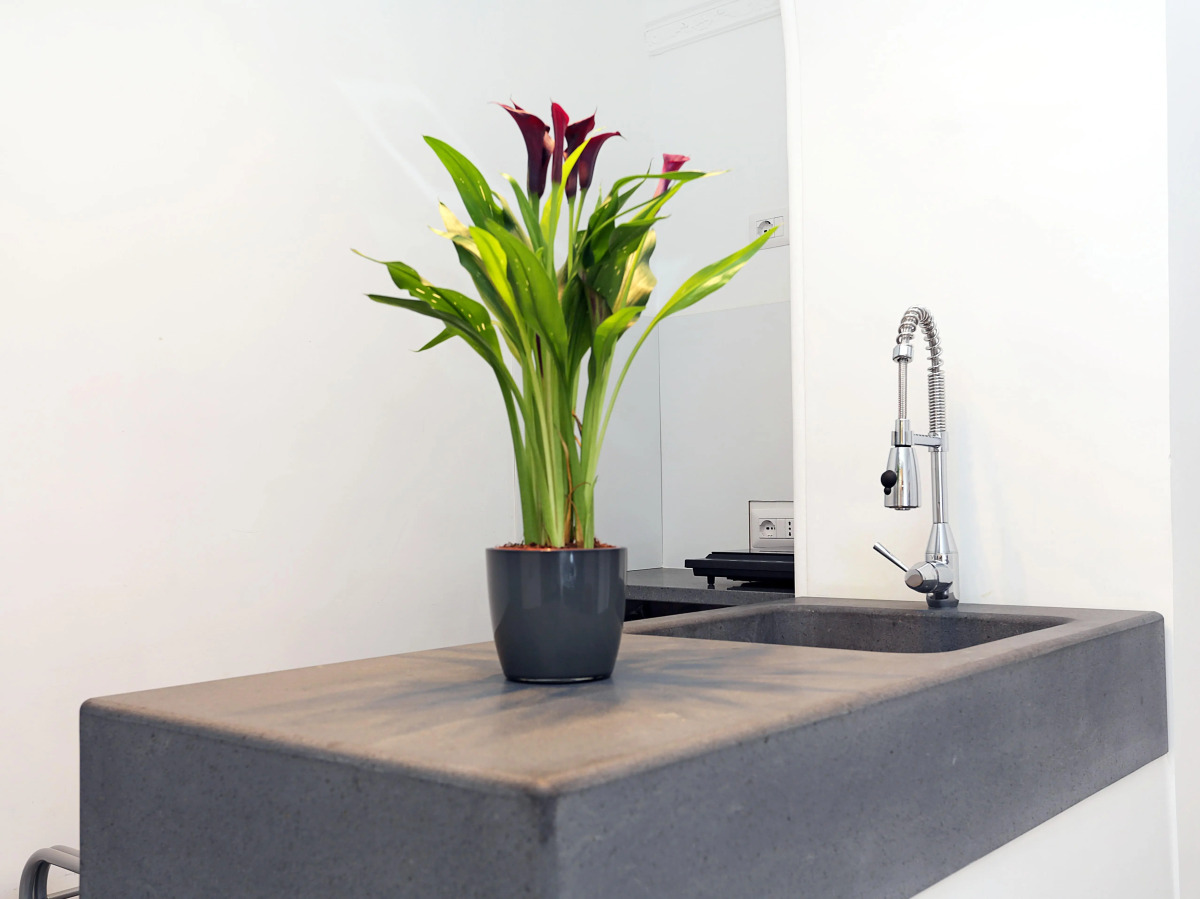 Houspitality Nero B&B