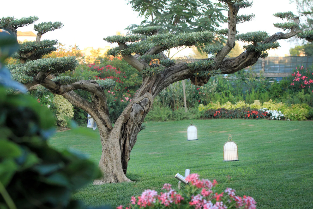 Grand Hotel da Vinci