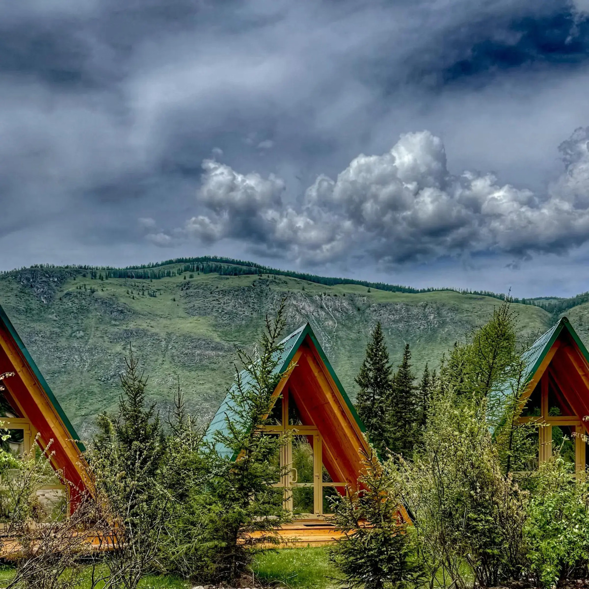 Зелёный колобок