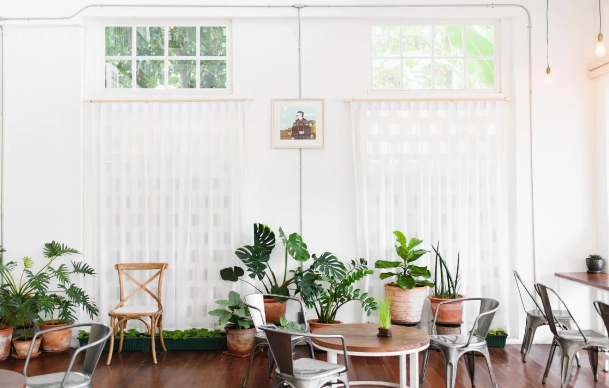 Memmoth Hostel In Lampang