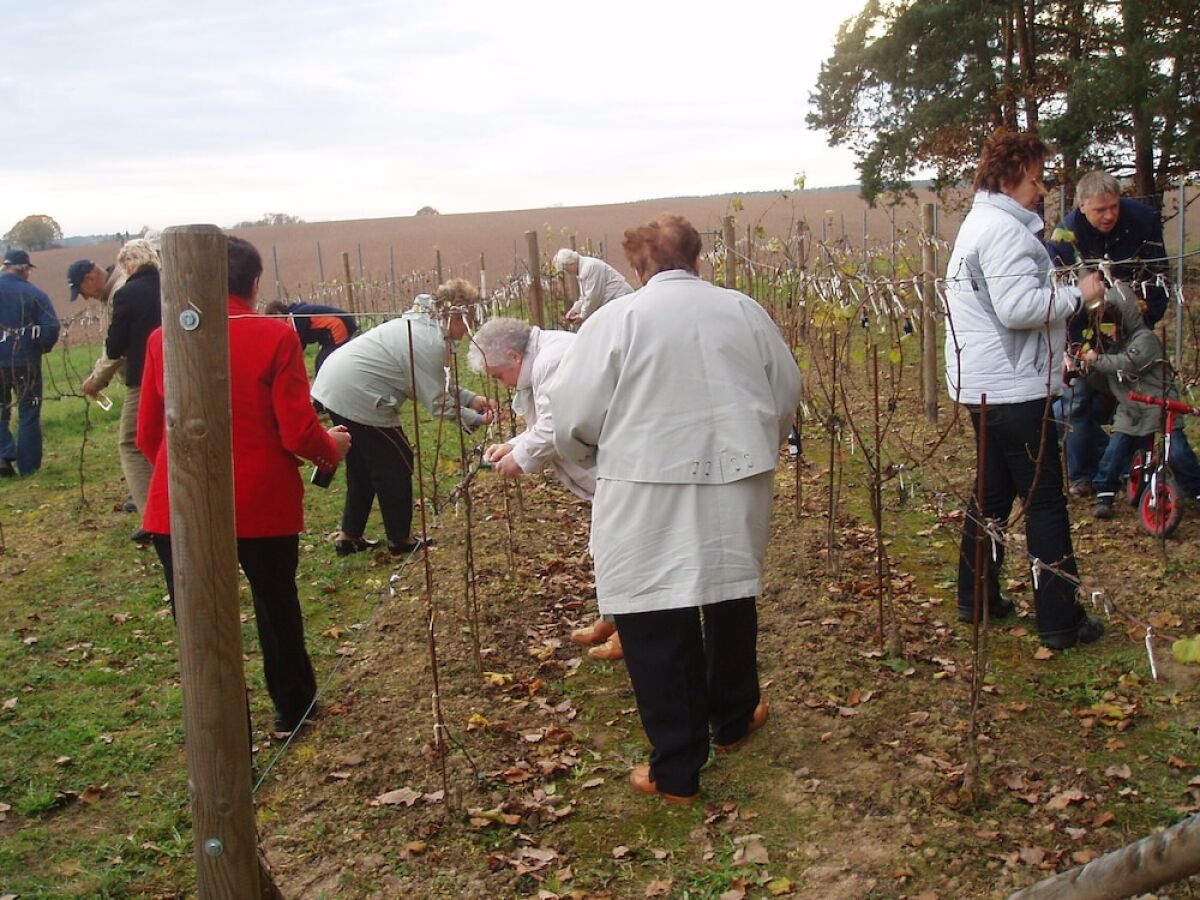 Adler Golf-& Tagungshotel