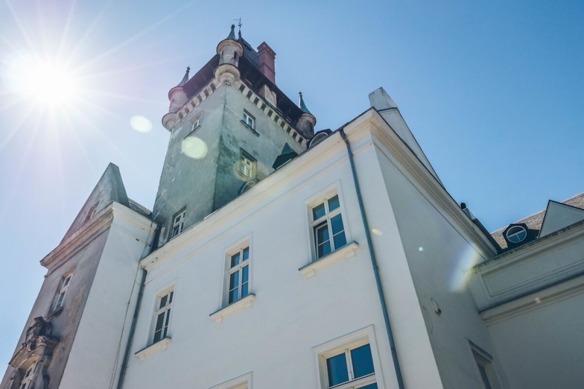 The Palace at Osowa Sien