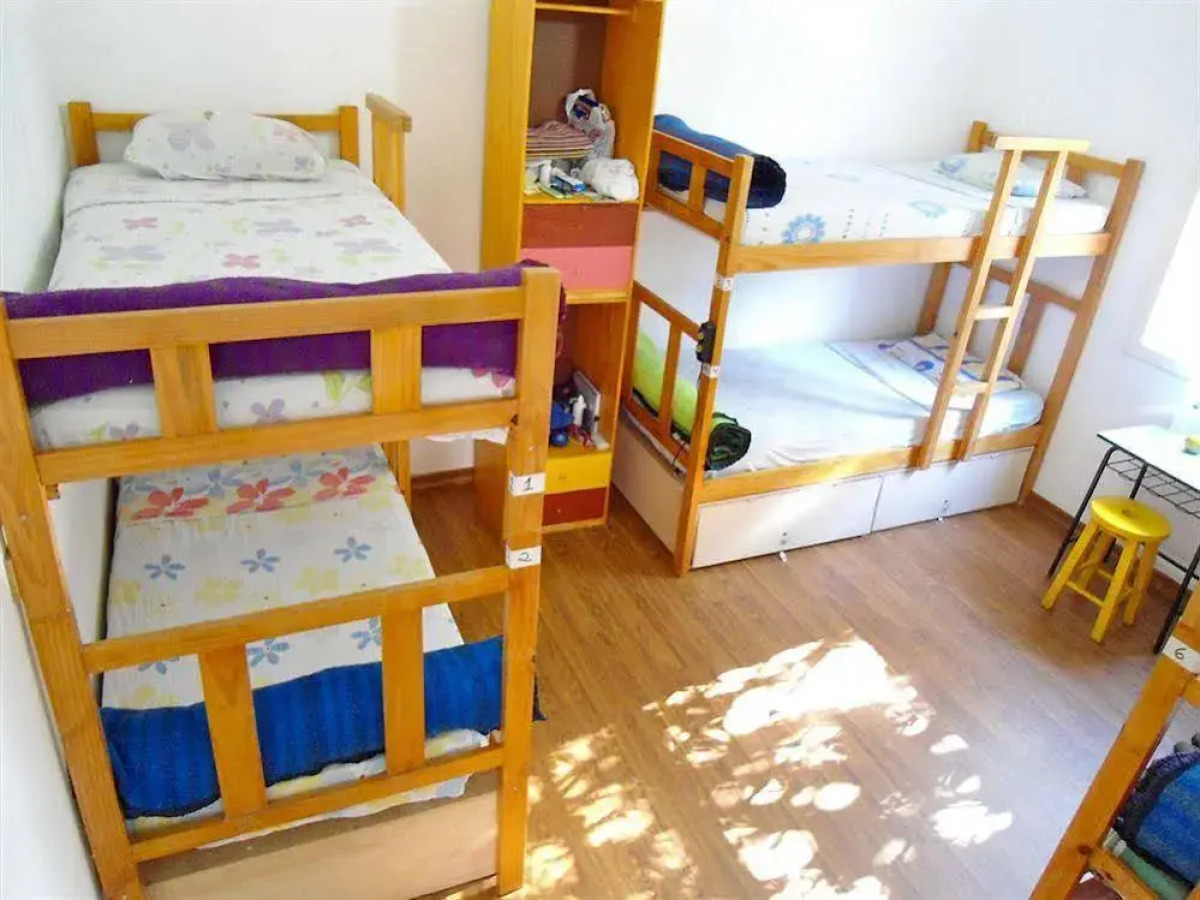 3Dogs Hostel São Paulo