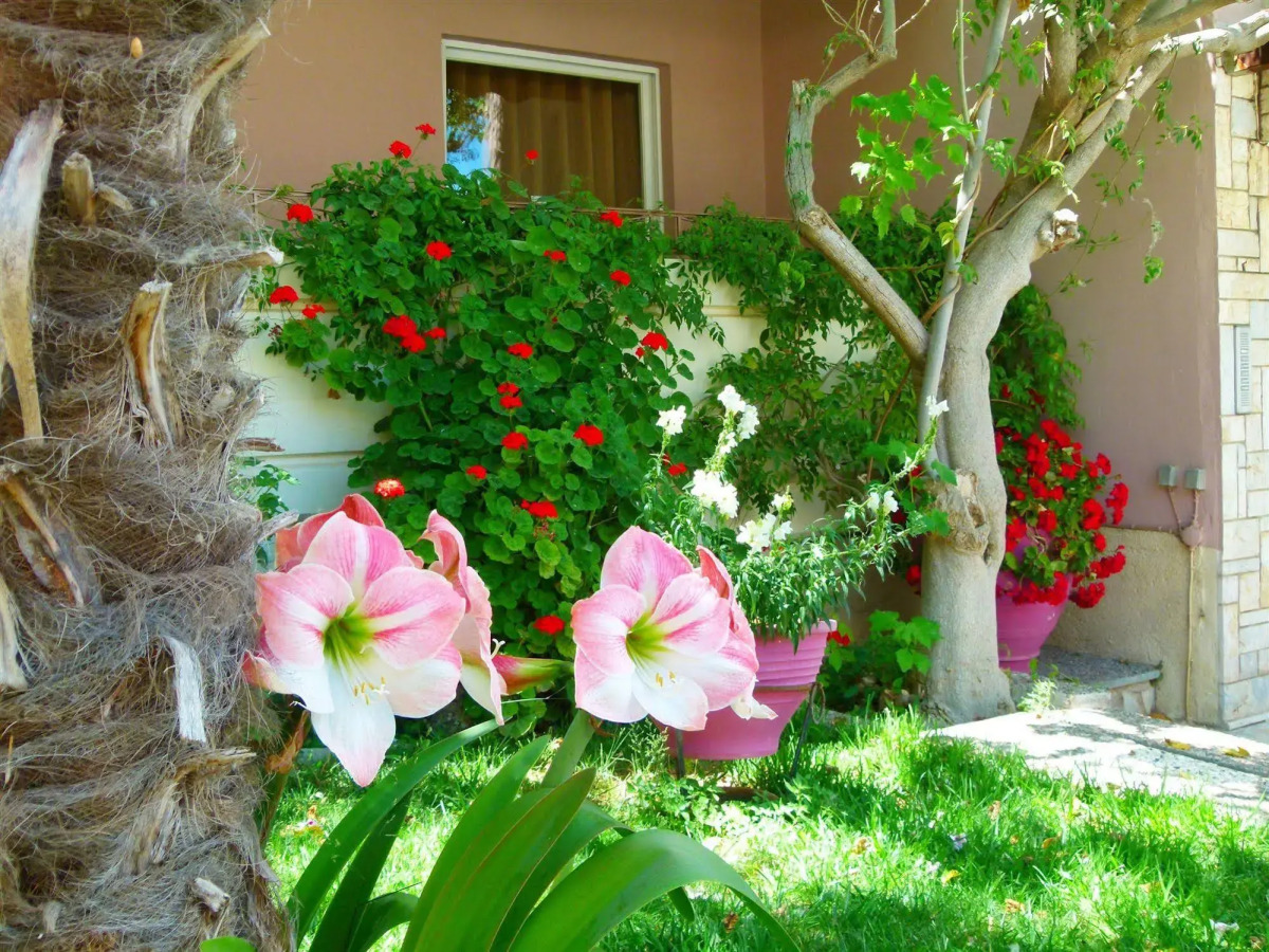 Sun Rise Hotel Apartments