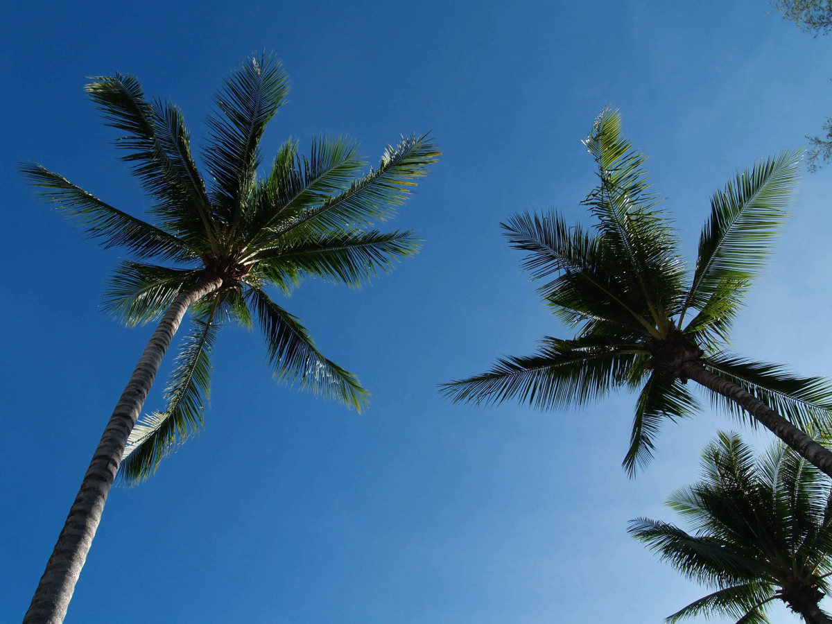 Bangtao Village Resort