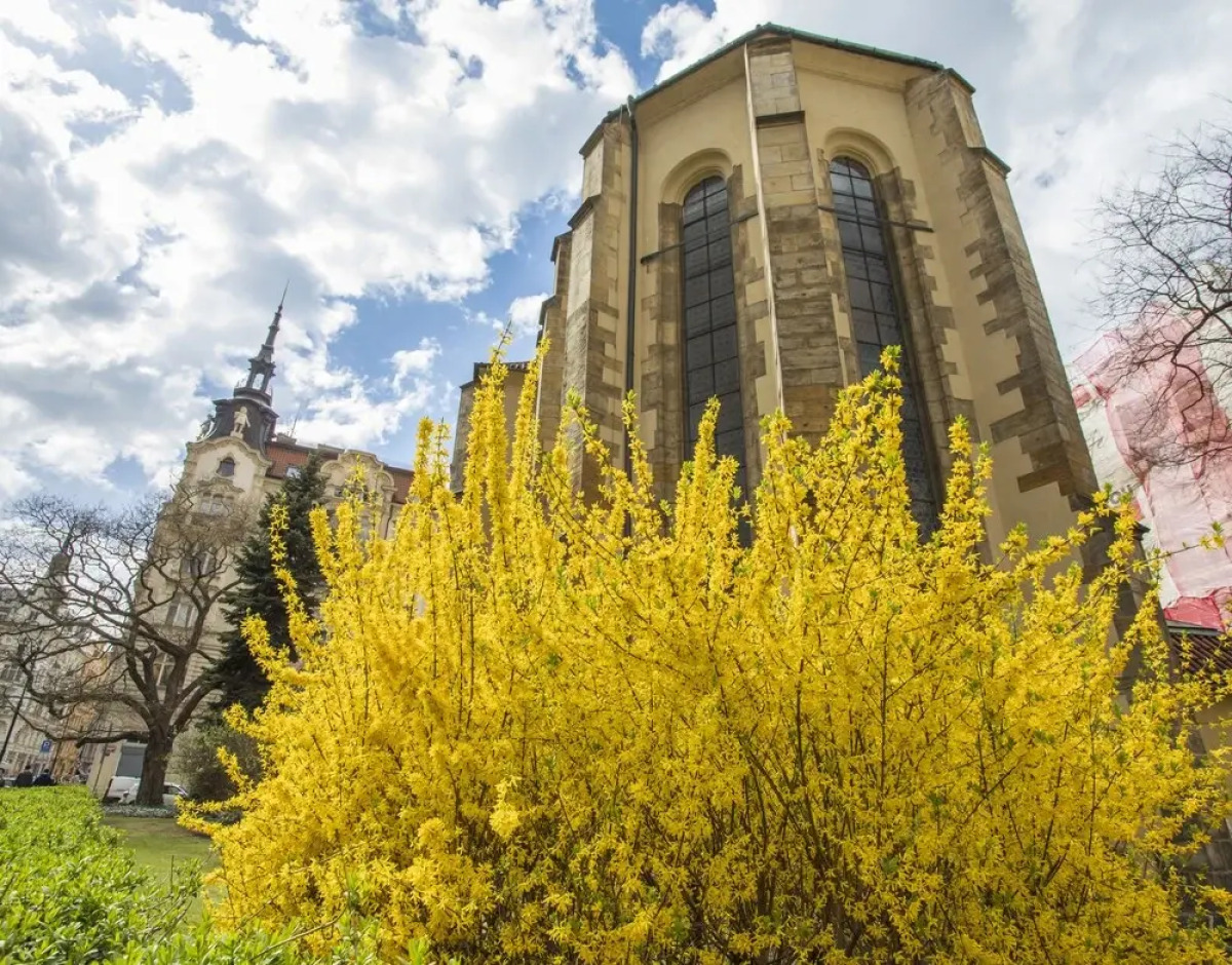 SouthWest Apartments