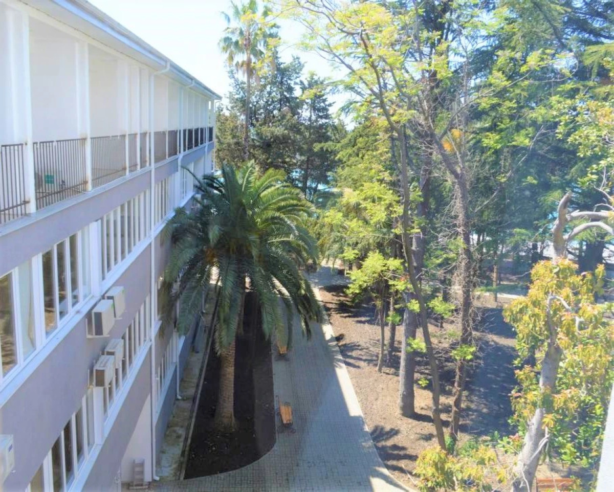 Отель Жоэквара