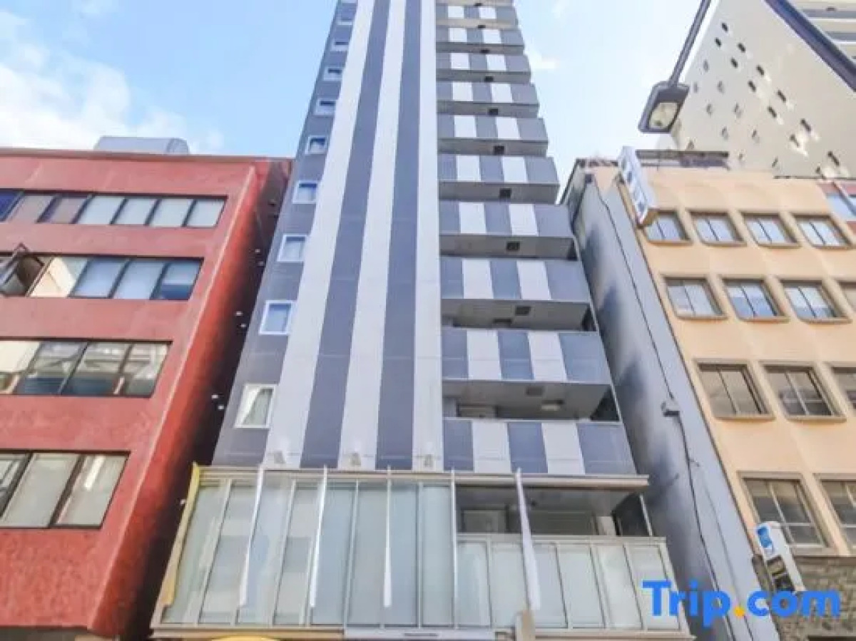 Sotetsu Fresa Inn Kanda Otemachi