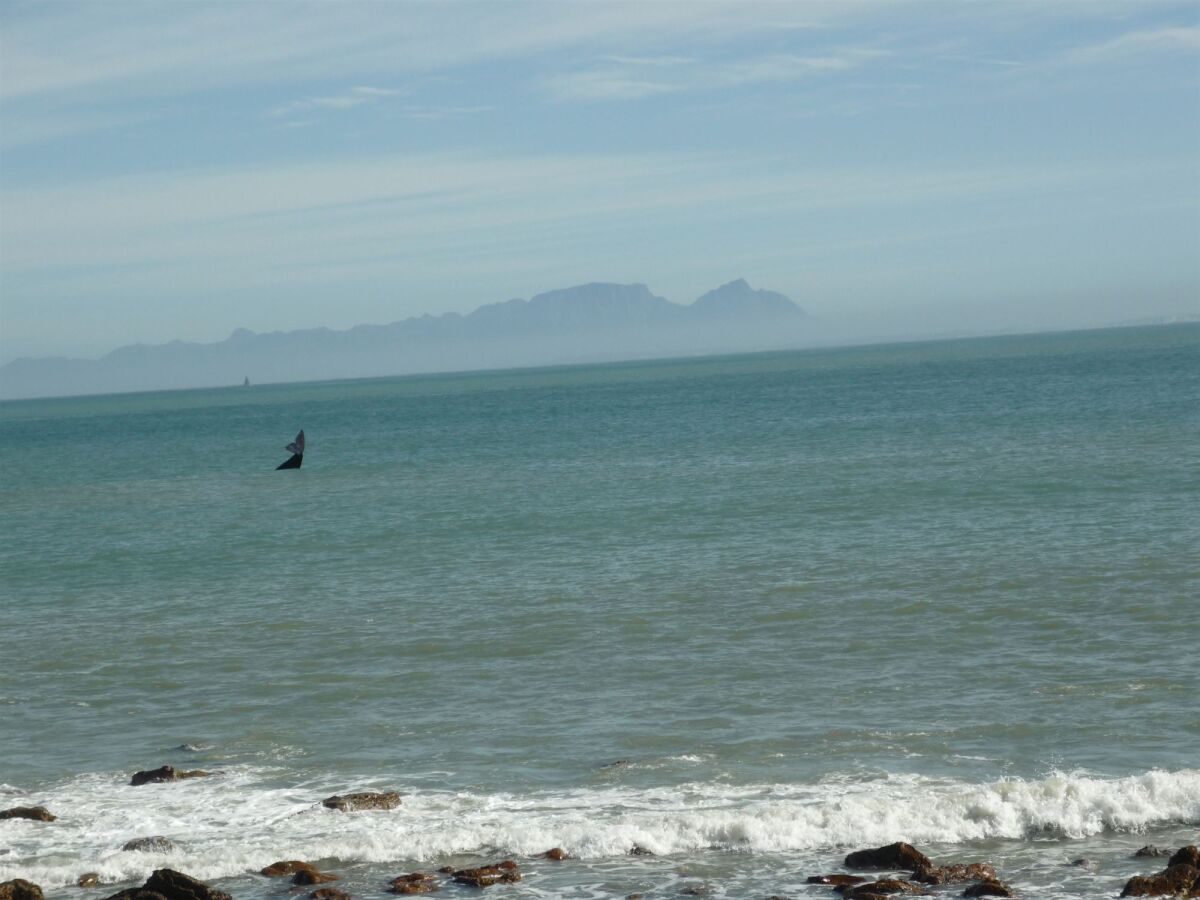 185 on Beach Boutique Suites and Apartments