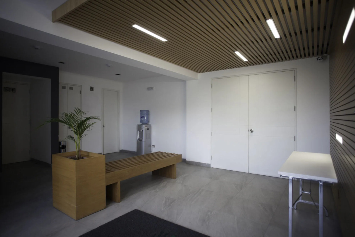 Palmetto Hotel Business San Miguel