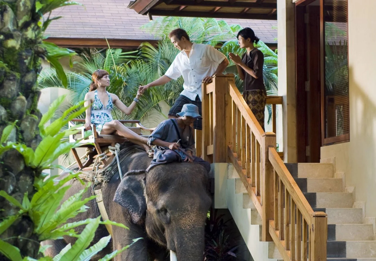 Mason Elephant Lodge