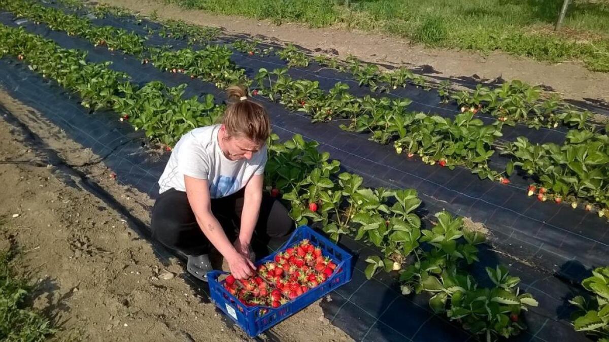 Agriturismo Arte Contadina