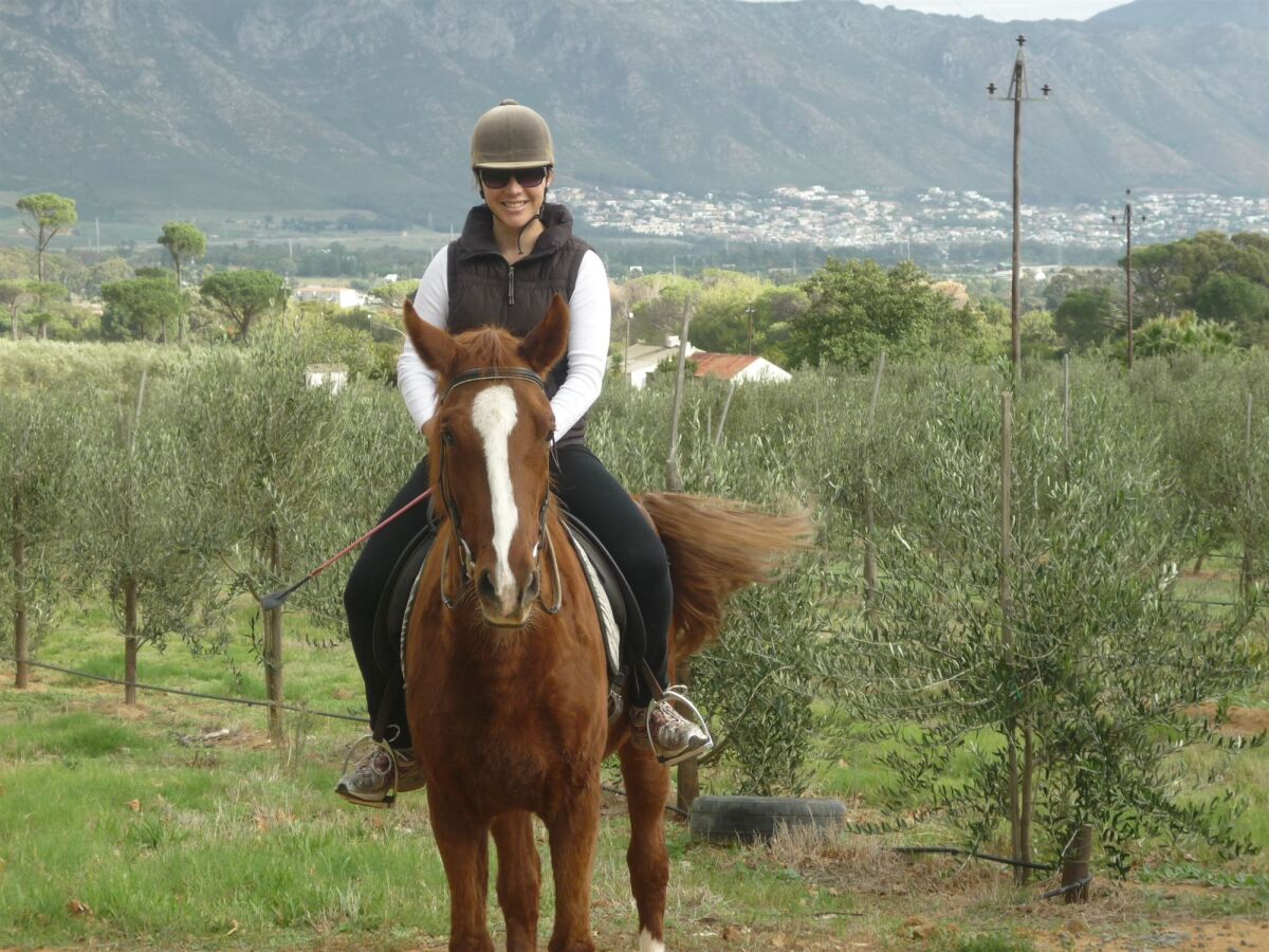 185 on Beach Boutique Suites and Apartments