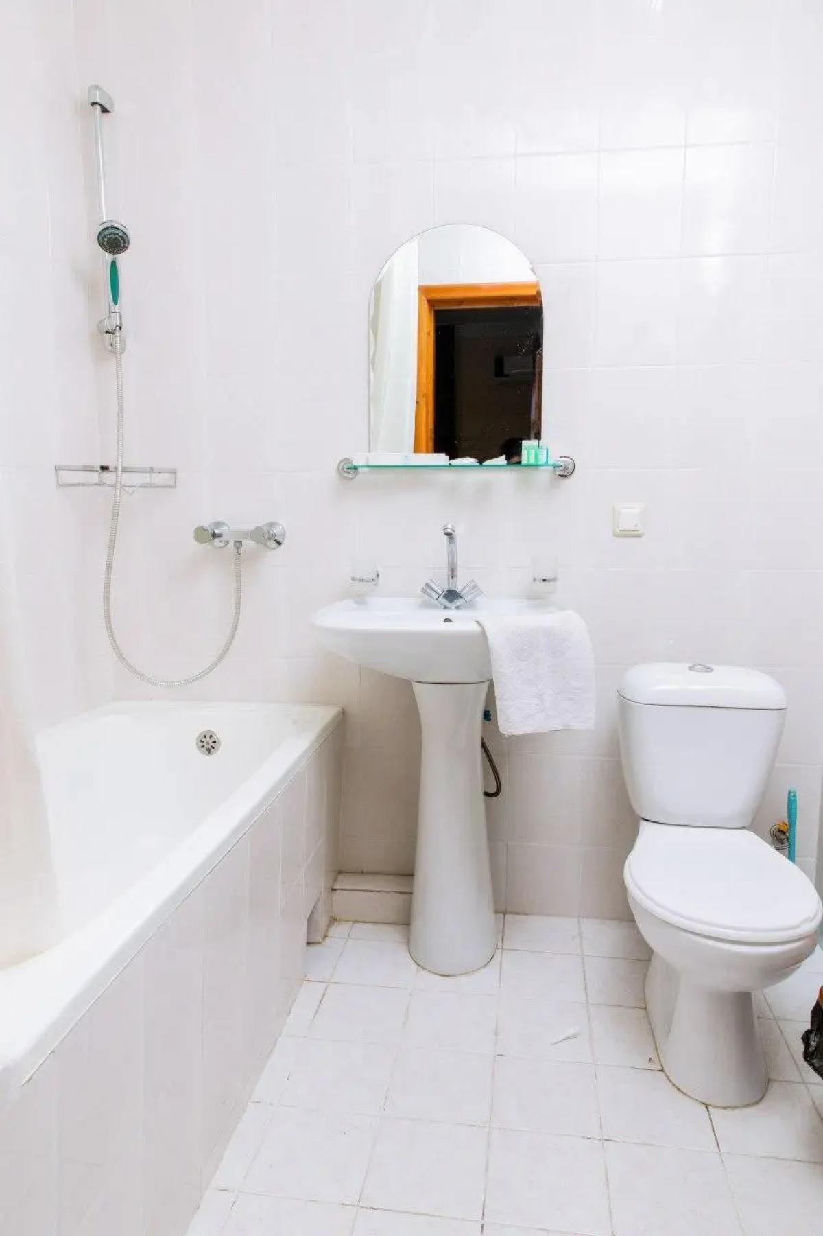 Stella (Стелла)