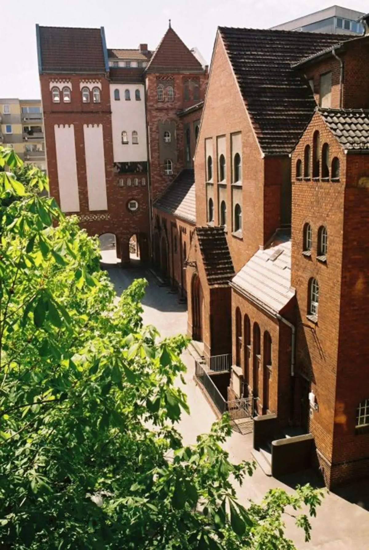 Three Little Pigs Hostel Berlin