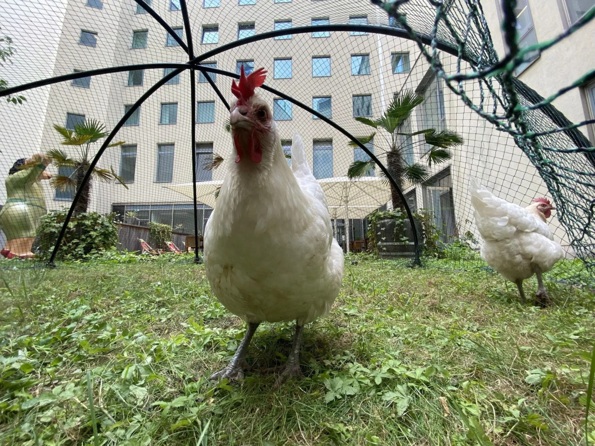Lindner Hotel Berlin Ku’damm, part of JdV by Hyatt