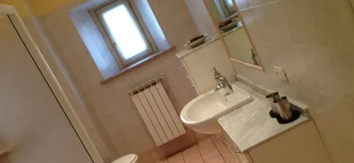 City's House Guest House