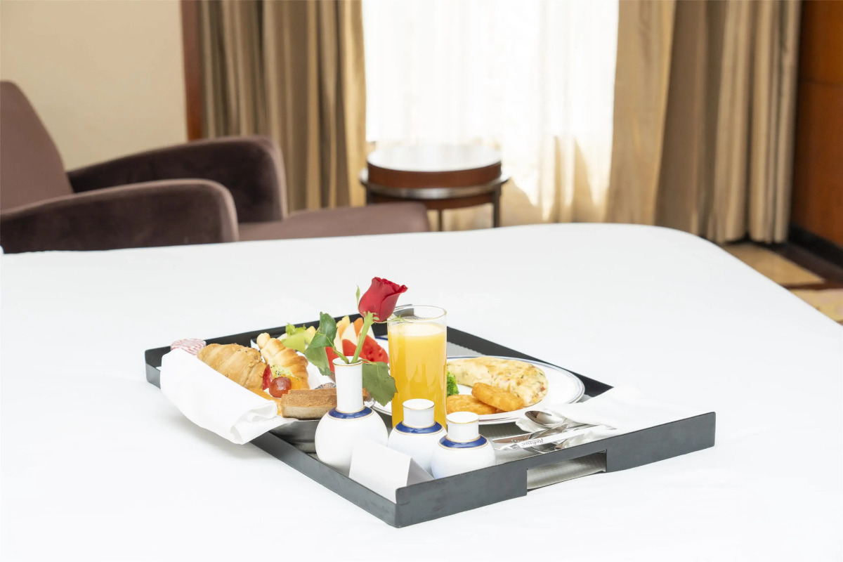 Radisson Blu Plaza Delhi Airport