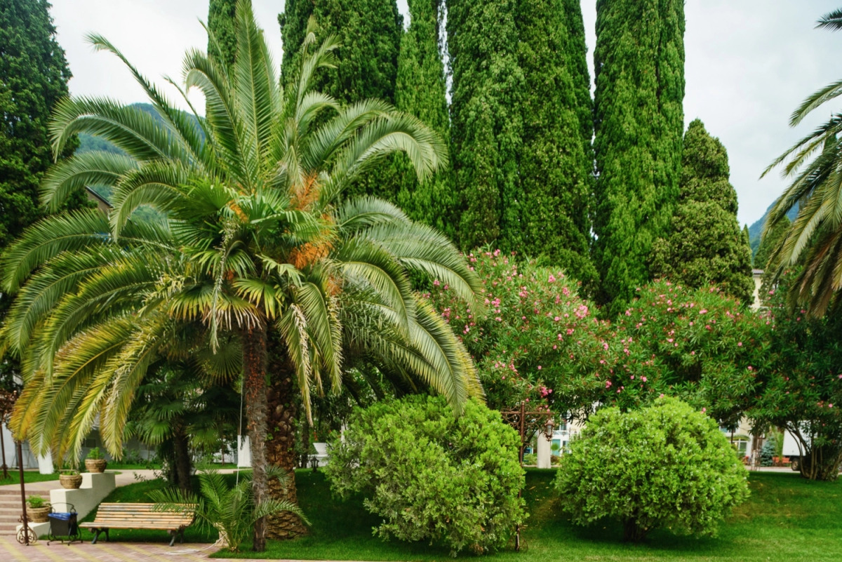 Imeni Chelyskintsev Hotel