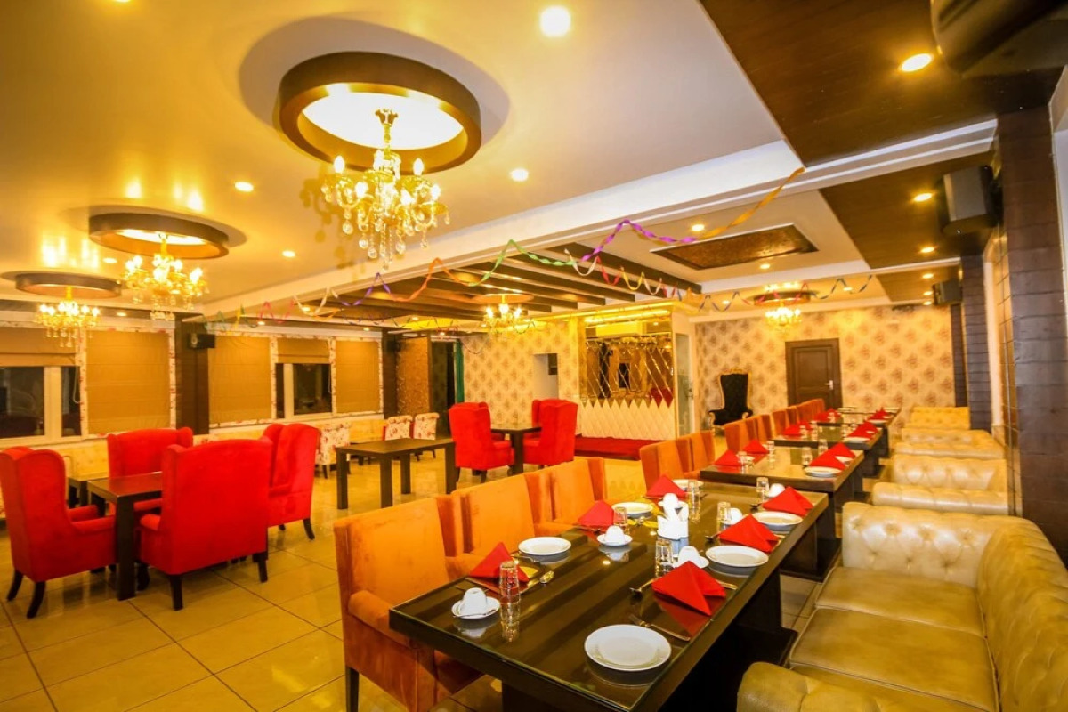 Little Mastiff - Dharamshala