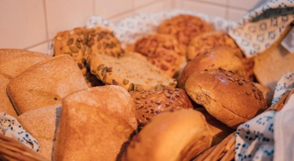 Slottsskogens Hostel