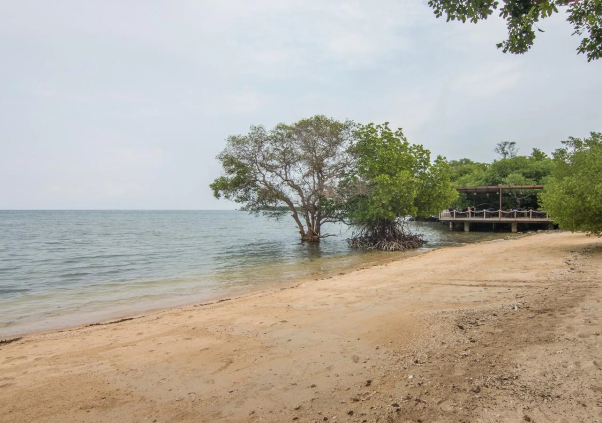 The Menjangan by LifestyleRetreats