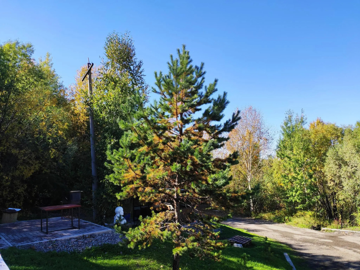 Отель Лесная застава