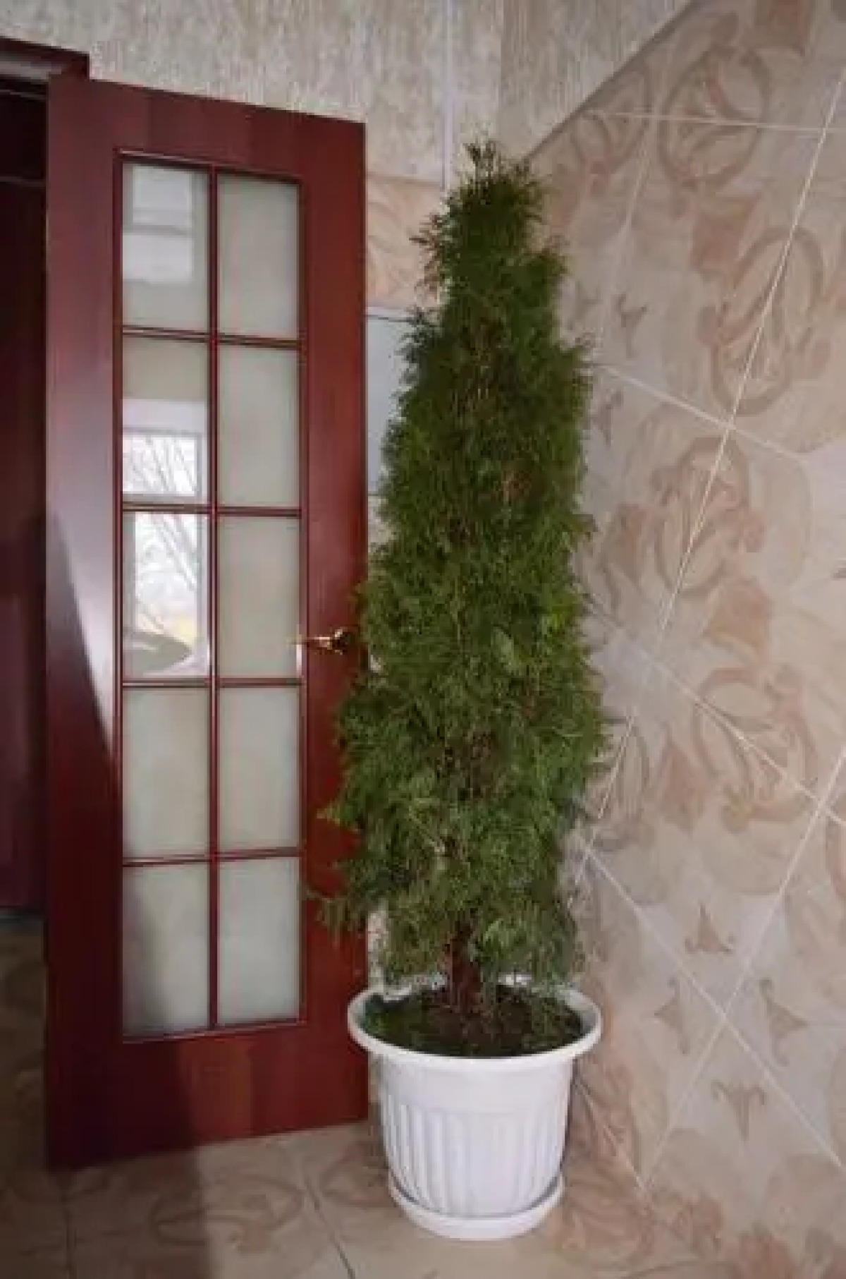 Отель Европа