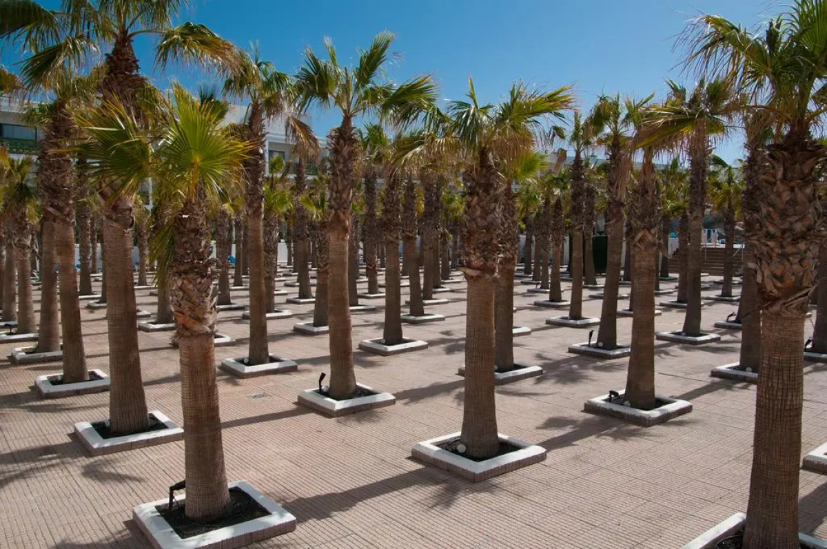 BLUESEA Costa Bastian