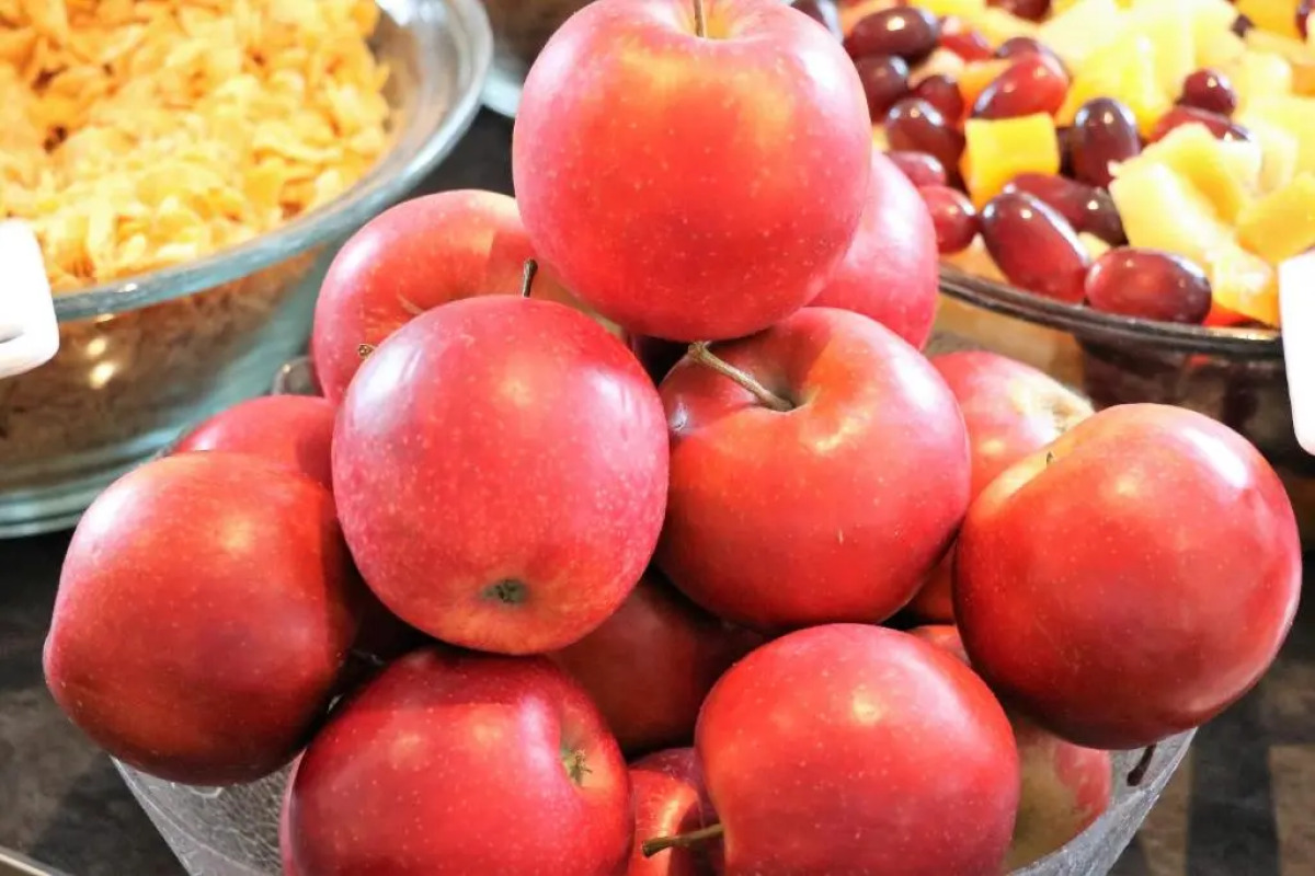 Hotel Eleazar Novum City Center