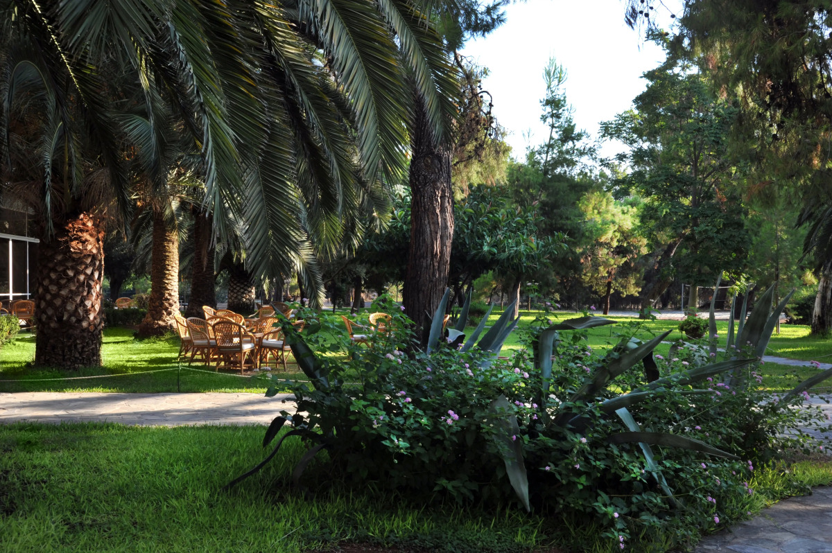 Hotel King Saron Club Marmara