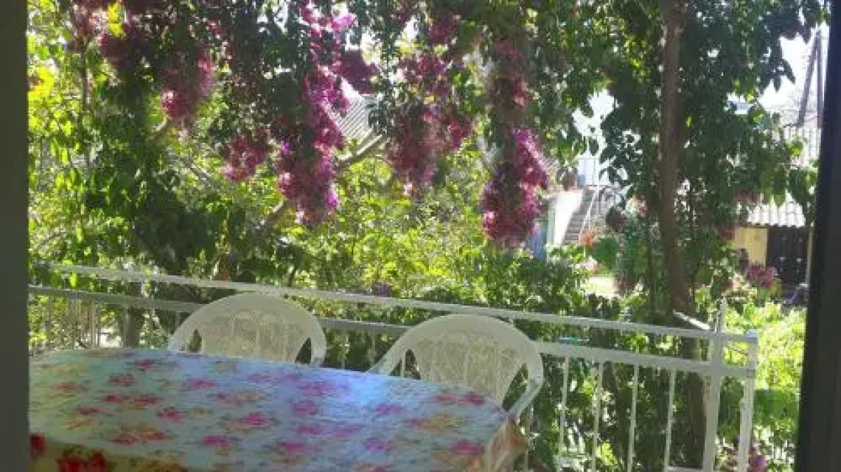 Guest House Magnolia