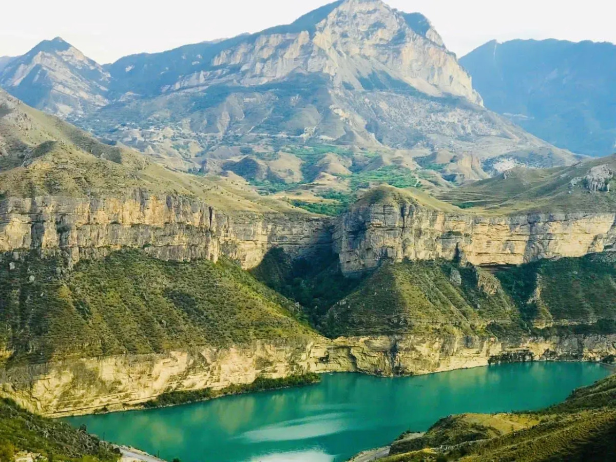 Родное гнездо