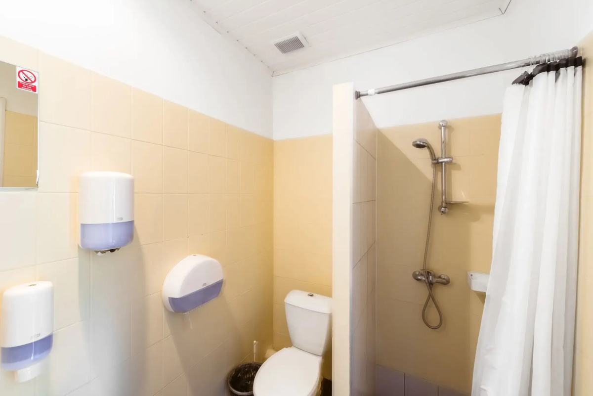 Downtown Forest Hostel & Camping