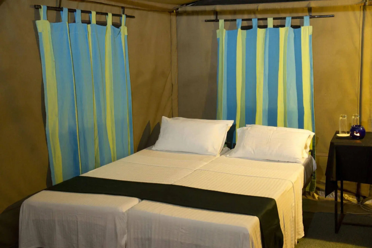 Big Game Yala by Eco Team