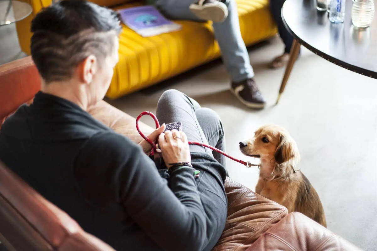 The Social Hub Rotterdam