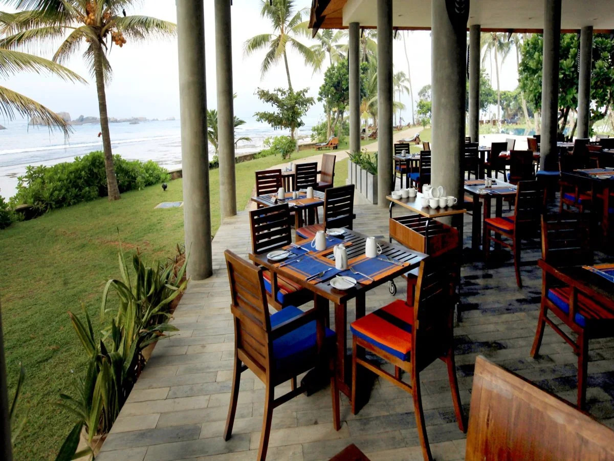 Hikka Tranz by Cinnamon