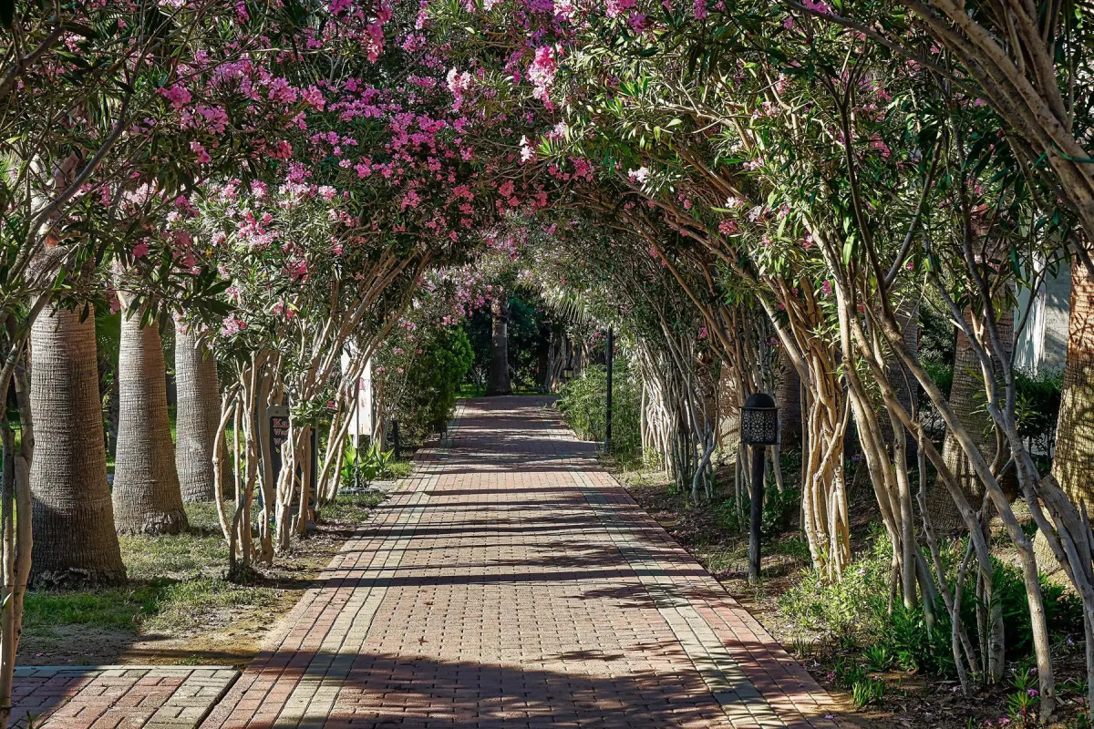 Seaden Sea World Resort & Spa