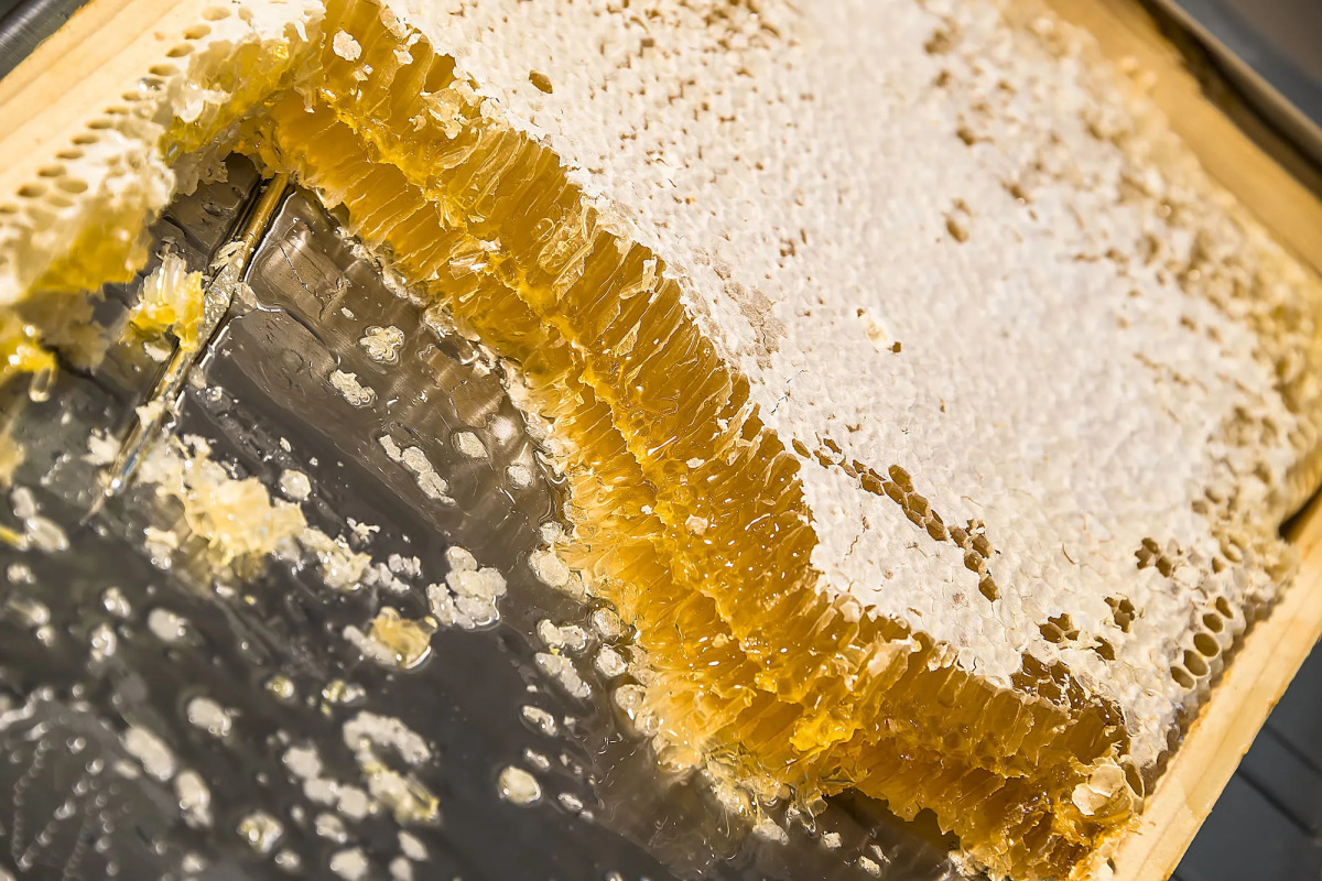 Бутик-отель Grotthuss