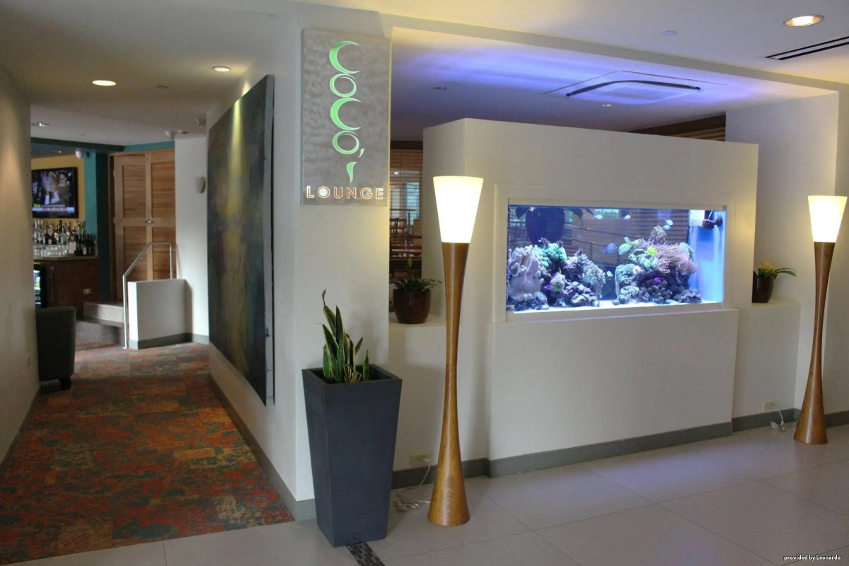 Condado Palm Inn San Juan, Tapestry Collection by Hilton