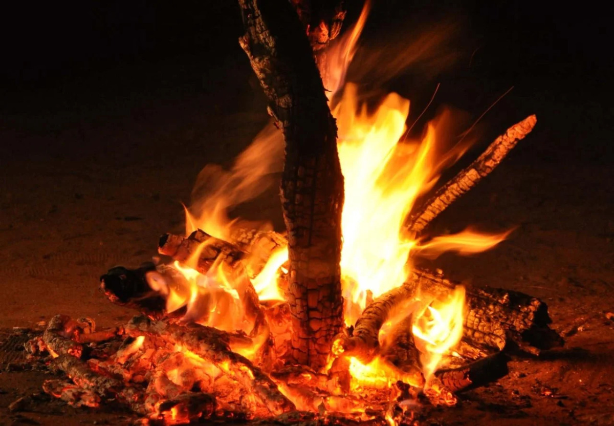 Big Game Yala by Eco Team