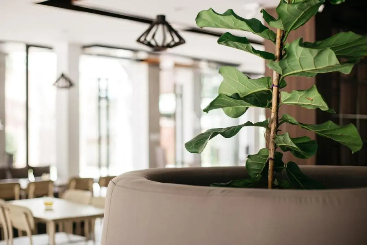 Diamond Park Inn Chiang Rai Resort