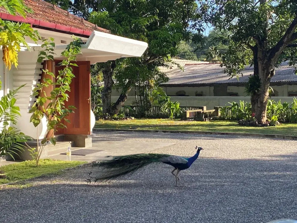 Happy Valley Residence Unawatuna