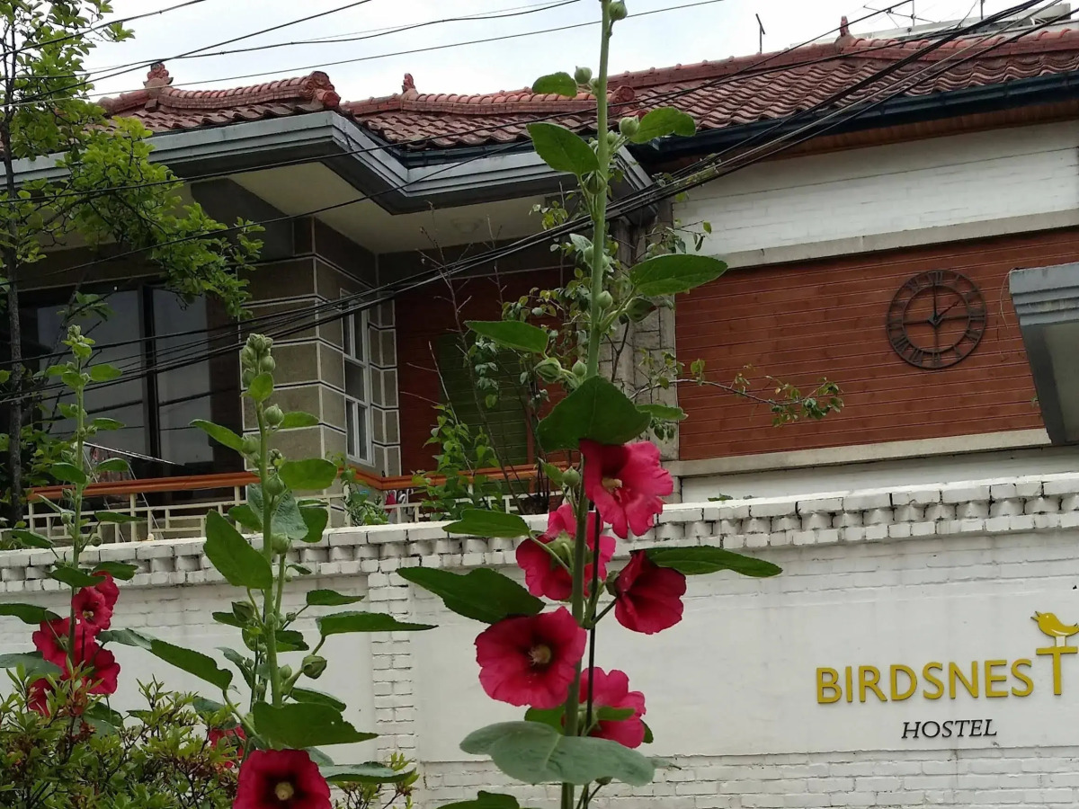 Birdsnest Hostel Hongdae