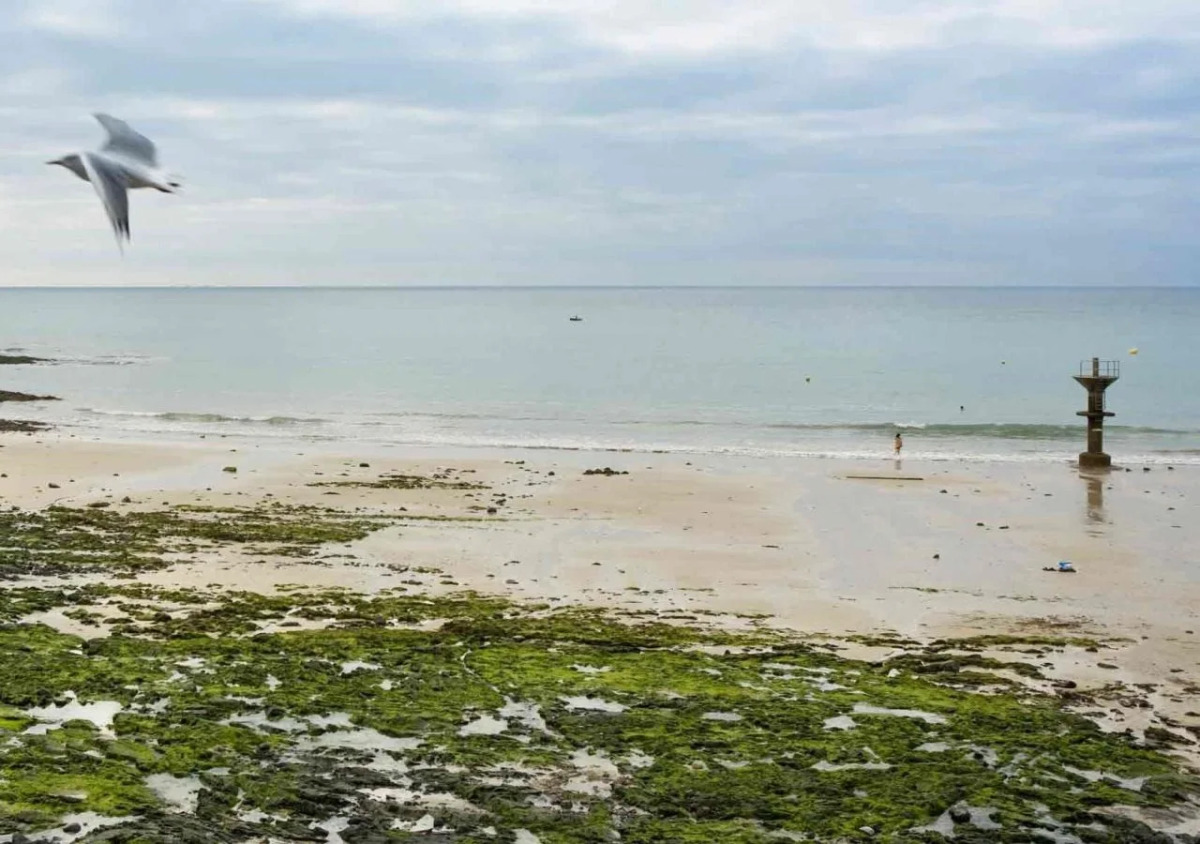 Mercure Mont Saint Michel