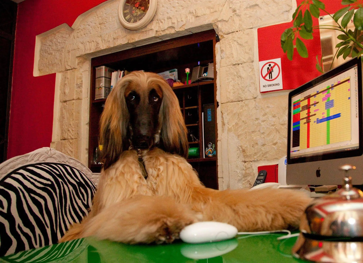 Miramare Cagliari Hotel Museo