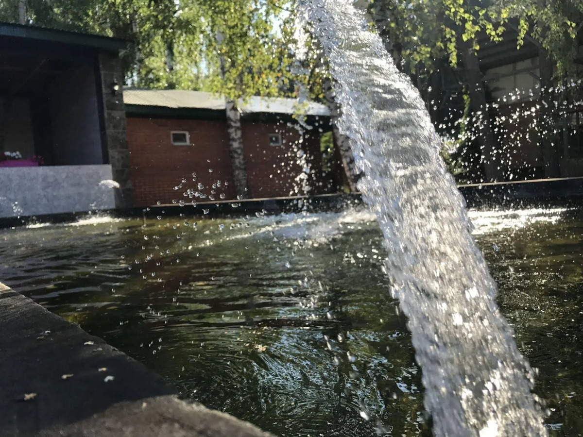 Ноев Ковчег