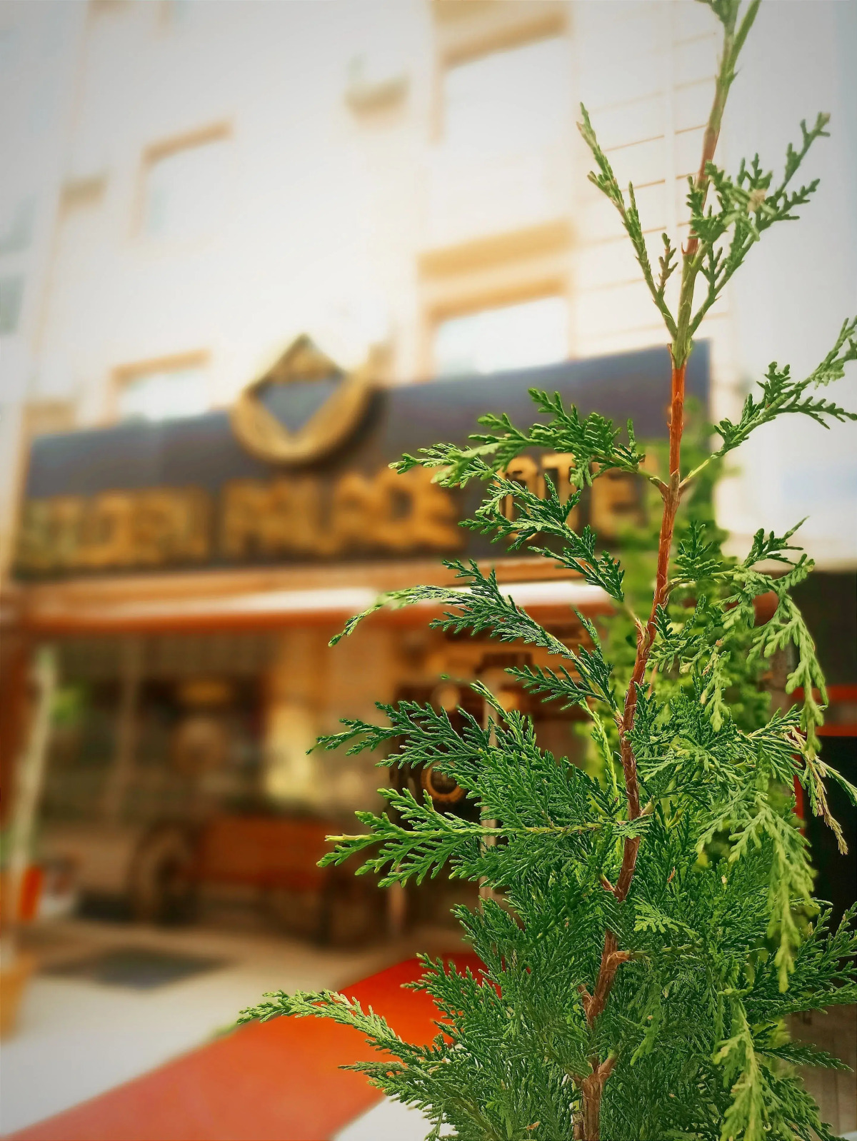 Mi̇raç Golden Palace Otel