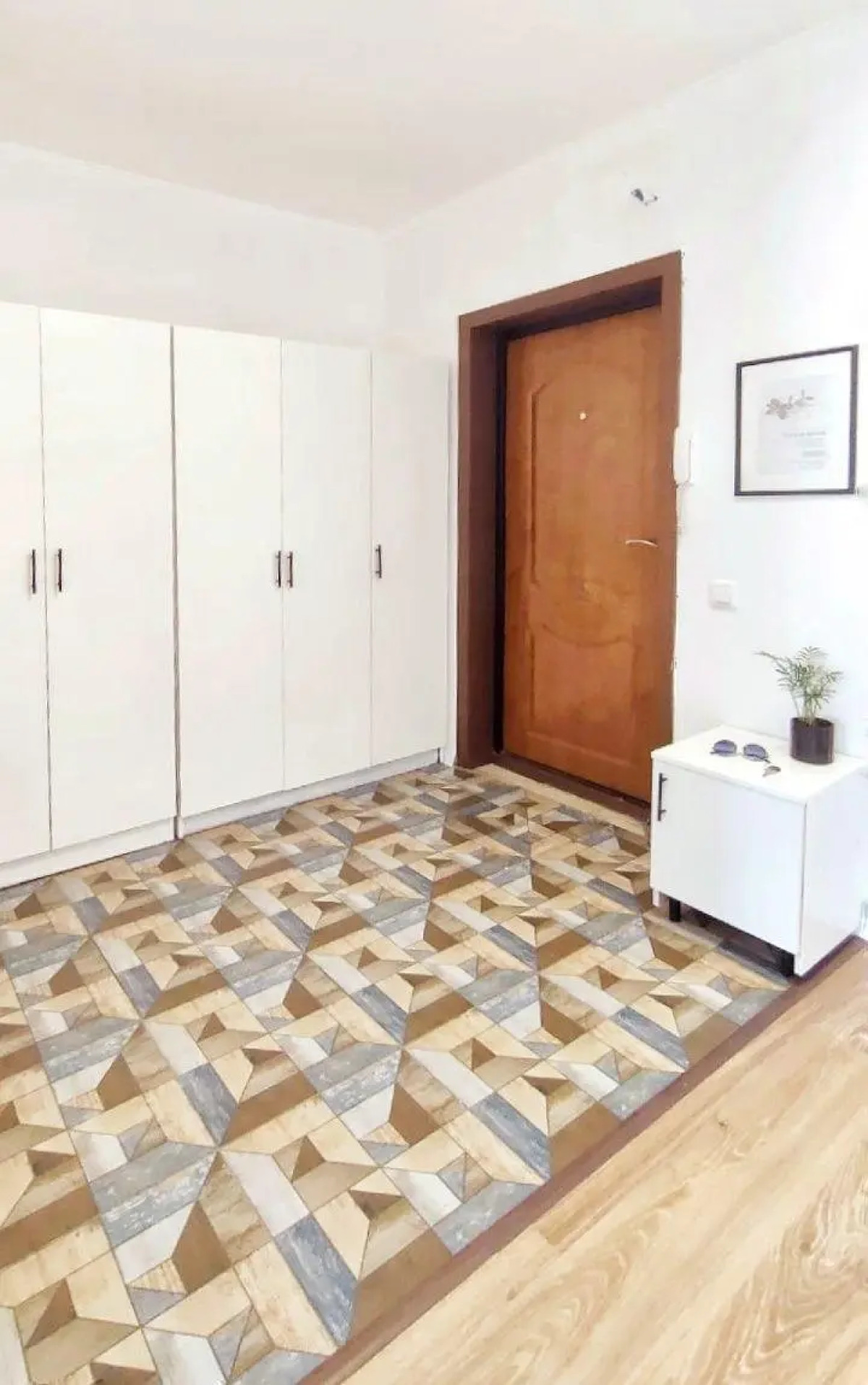 Солнечный эвкалипт на улице Крылова