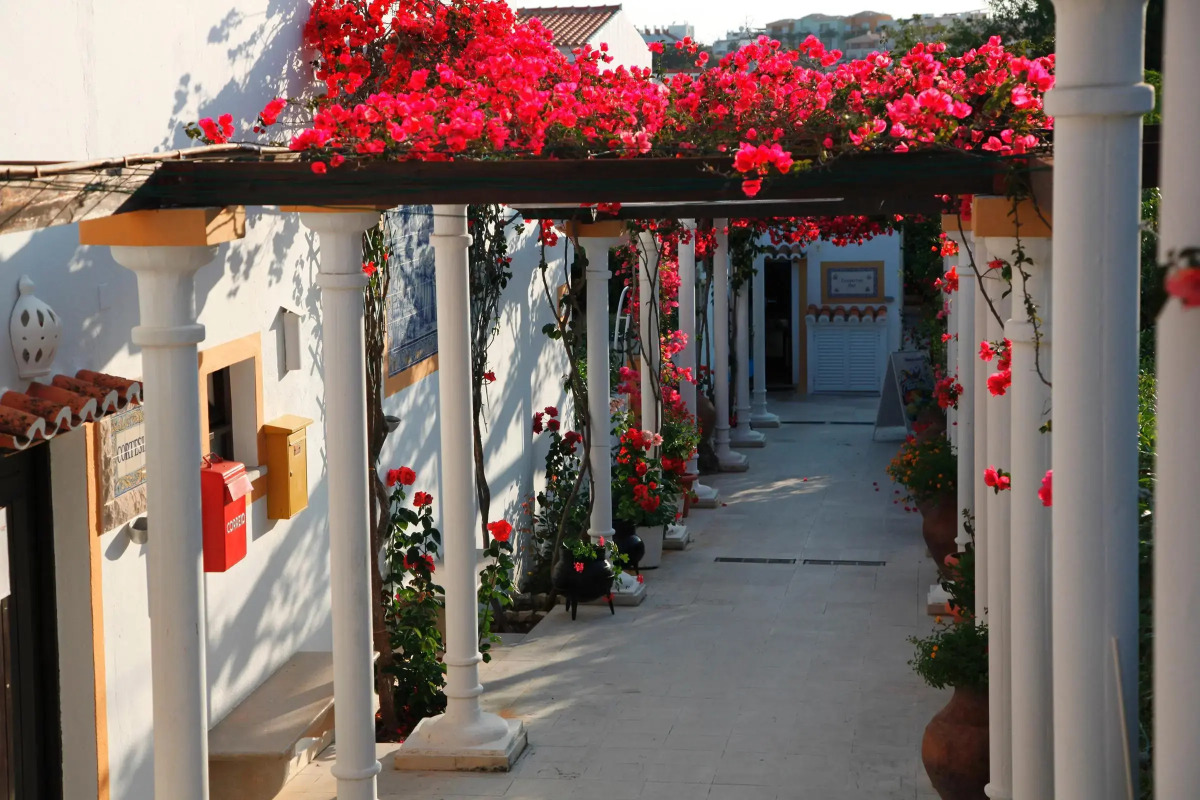 Отель Muthu Balaia Sol